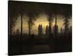 Stretched Canvas Print