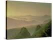 Stretched Canvas Print