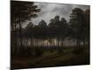 Premium Giclee Print