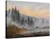 Stretched Canvas Print