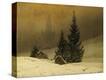 Stretched Canvas Print