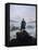 Caspar Friedrich Wanderer Above the Sea of Fog-null-Framed Stretched Canvas