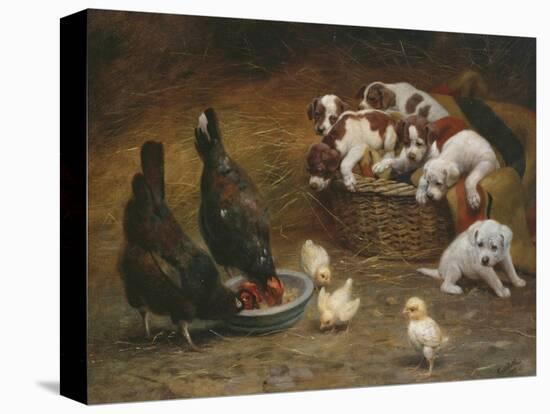Stretched Canvas Print, , large