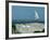 Caspian Terns, Breeding Colony on Island in Baltic Sea, Sweden-Bengt Lundberg-Framed Photographic Print