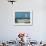 Caspian Terns, Breeding Colony on Island in Baltic Sea, Sweden-Bengt Lundberg-Framed Photographic Print displayed on a wall