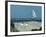 Caspian Terns, Breeding Colony on Island in Baltic Sea, Sweden-Bengt Lundberg-Framed Photographic Print