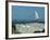 Caspian Terns, Breeding Colony on Island in Baltic Sea, Sweden-Bengt Lundberg-Framed Photographic Print