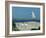 Caspian Terns, Breeding Colony on Island in Baltic Sea, Sweden-Bengt Lundberg-Framed Photographic Print