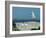 Caspian Terns, Breeding Colony on Island in Baltic Sea, Sweden-Bengt Lundberg-Framed Photographic Print