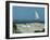 Caspian Terns, Breeding Colony on Island in Baltic Sea, Sweden-Bengt Lundberg-Framed Photographic Print