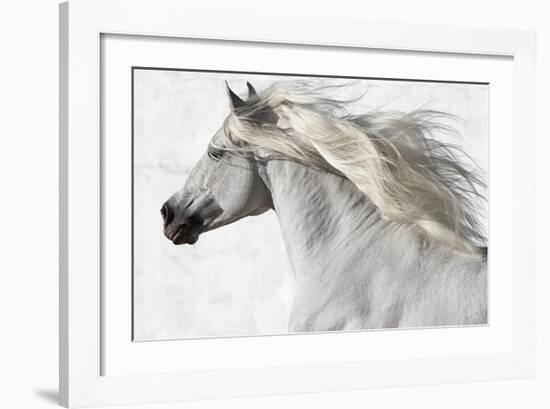 Cassanova 2-Susan Friedman-Framed Giclee Print