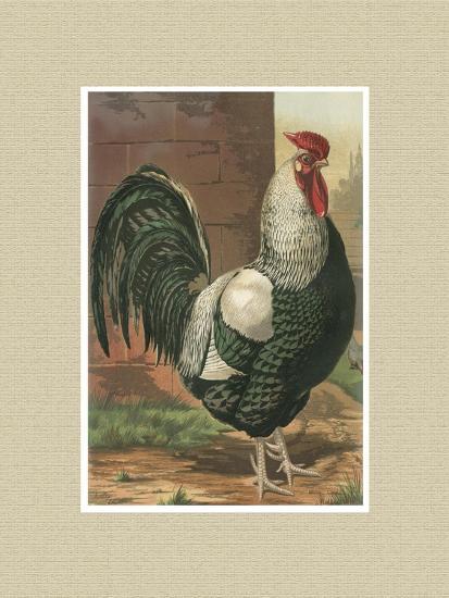 Art Print, , large