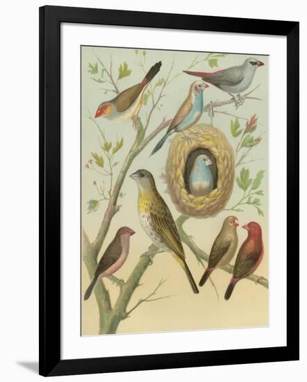 Art Print, , large