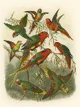 Cassell's Parrots IV-Cassell-Framed Art Print