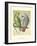 Cassell's Parrots II-Cassell-Framed Art Print