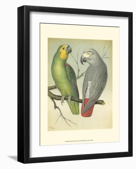 Cassell's Parrots II-Cassell-Framed Art Print