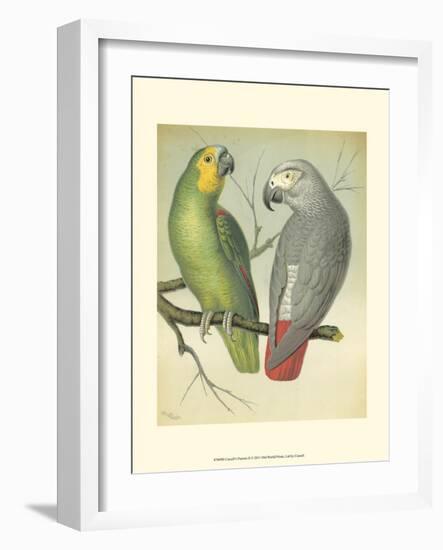 Cassell's Parrots II-Cassell-Framed Art Print