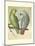 Cassell's Parrots II-Cassell-Mounted Art Print