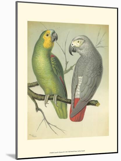 Cassell's Parrots II-Cassell-Mounted Art Print