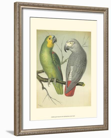 Cassell's Parrots II-Cassell-Framed Art Print