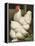 Cassell's Roosters I-Cassel-Framed Stretched Canvas