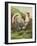 Cassell's Roosters III-Cassel-Framed Art Print