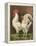 Cassell's Roosters VI-Cassel-Framed Stretched Canvas