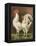 Cassell's Roosters VI-Cassel-Framed Stretched Canvas