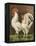 Cassell's Roosters VI-Cassel-Framed Stretched Canvas