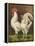 Cassell's Roosters VI-Cassel-Framed Stretched Canvas