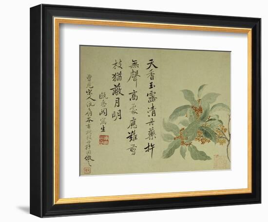 Cassia-Yun Shouping-Framed Giclee Print