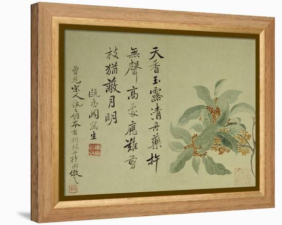 Cassia-Yun Shouping-Framed Premier Image Canvas