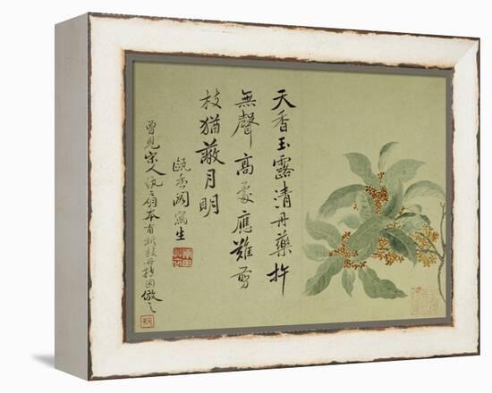 Cassia-Yun Shouping-Framed Premier Image Canvas