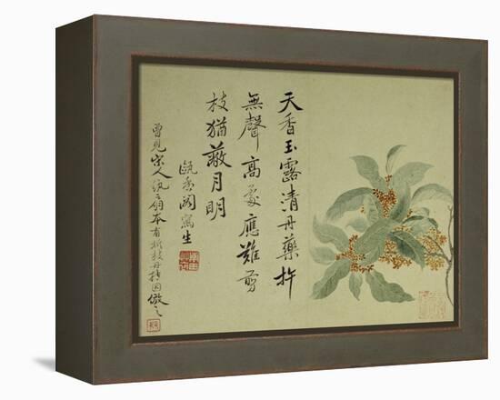 Cassia-Yun Shouping-Framed Premier Image Canvas