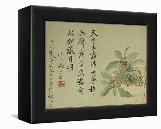 Cassia-Yun Shouping-Framed Premier Image Canvas