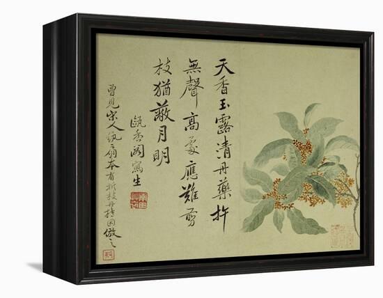 Cassia-Yun Shouping-Framed Premier Image Canvas