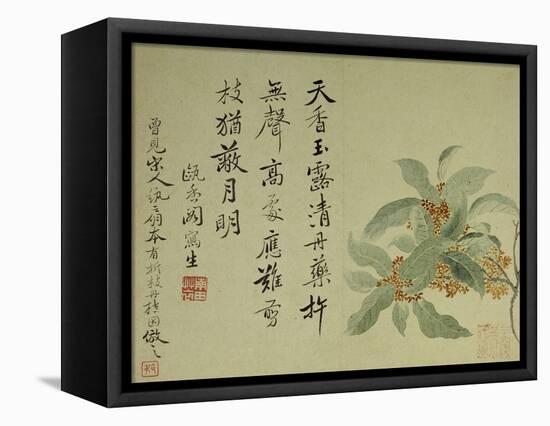 Cassia-Yun Shouping-Framed Premier Image Canvas