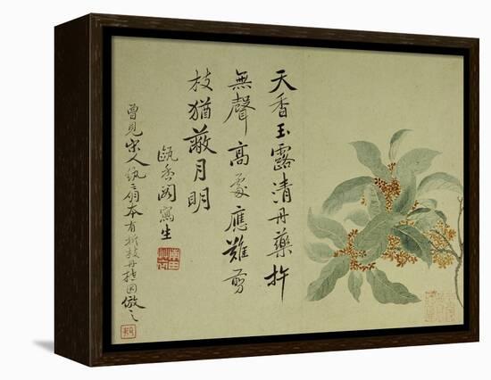 Cassia-Yun Shouping-Framed Premier Image Canvas