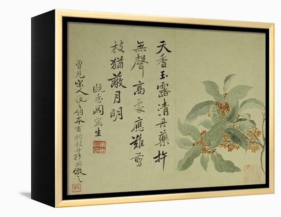 Cassia-Yun Shouping-Framed Premier Image Canvas