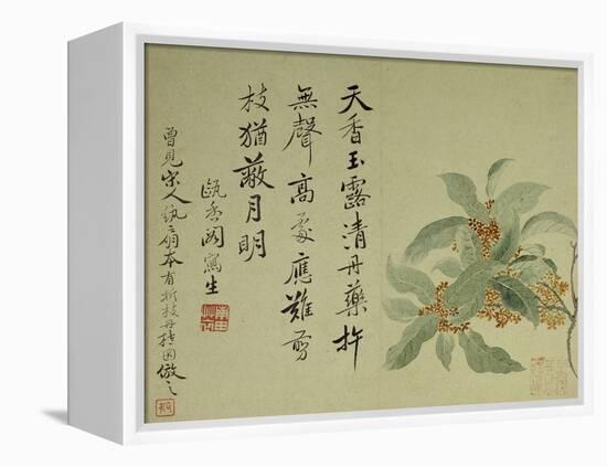 Cassia-Yun Shouping-Framed Premier Image Canvas