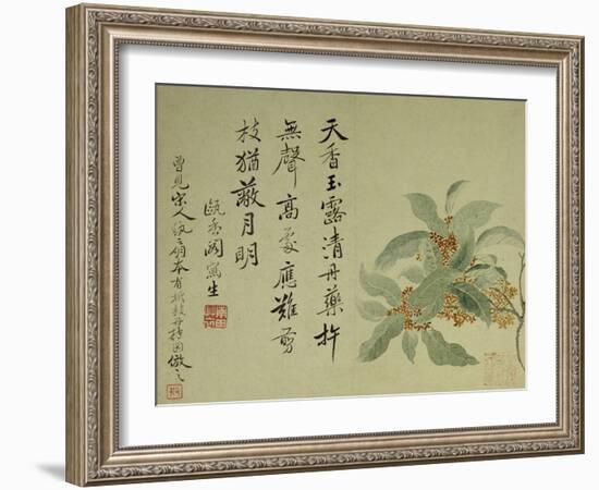 Cassia-Yun Shouping-Framed Giclee Print