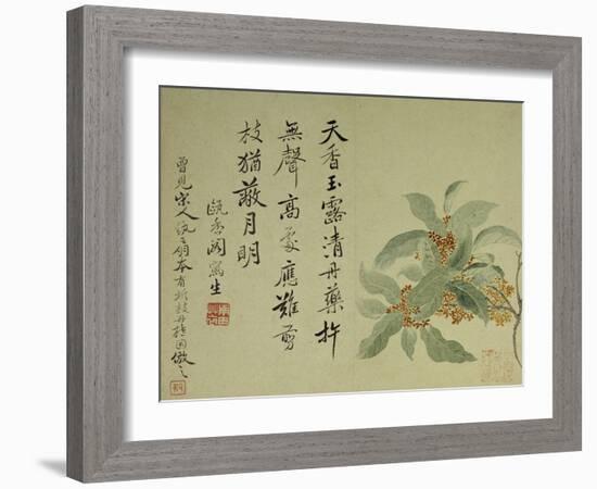 Cassia-Yun Shouping-Framed Giclee Print