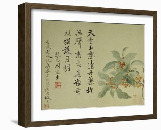 Cassia-Yun Shouping-Framed Giclee Print