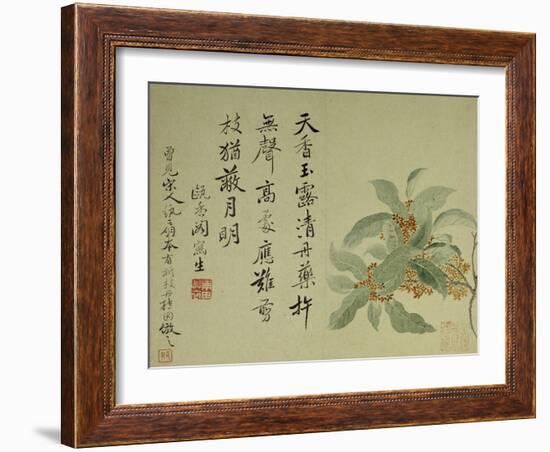 Cassia-Yun Shouping-Framed Giclee Print