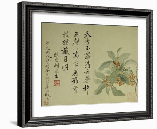 Cassia-Yun Shouping-Framed Giclee Print