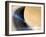 Cassini's Grand Finale at Saturn-null-Framed Photographic Print