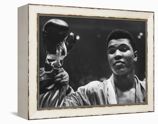 Cassius Clay After Defeating Doug Jones in Close Heavyweight Bout, in Madison Square Garden-George Silk-Framed Premier Image Canvas