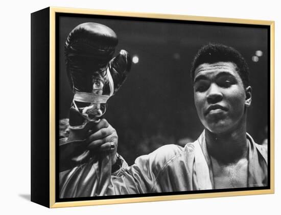 Cassius Clay After Defeating Doug Jones in Close Heavyweight Bout, in Madison Square Garden-George Silk-Framed Premier Image Canvas