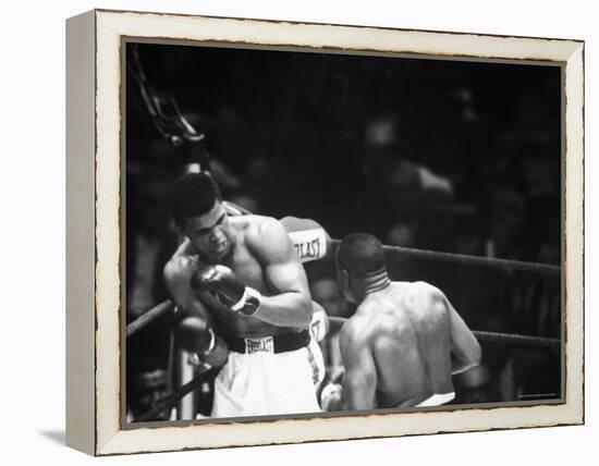 Cassius M. Clay and Sonny Liston During World Championship Fight-Ralph Morse-Framed Premier Image Canvas