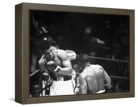 Cassius M. Clay and Sonny Liston During World Championship Fight-Ralph Morse-Framed Premier Image Canvas